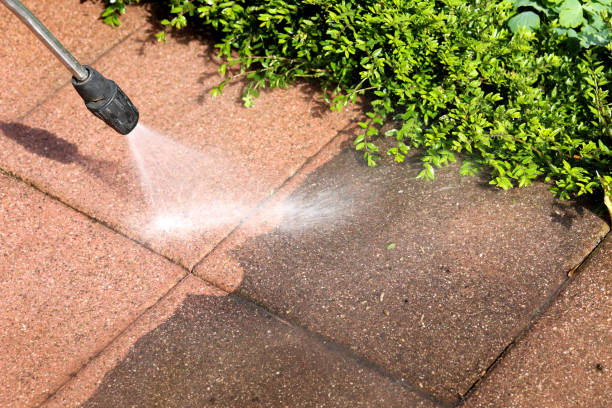 Best Deck Pressure Washing  in Shannon, GA